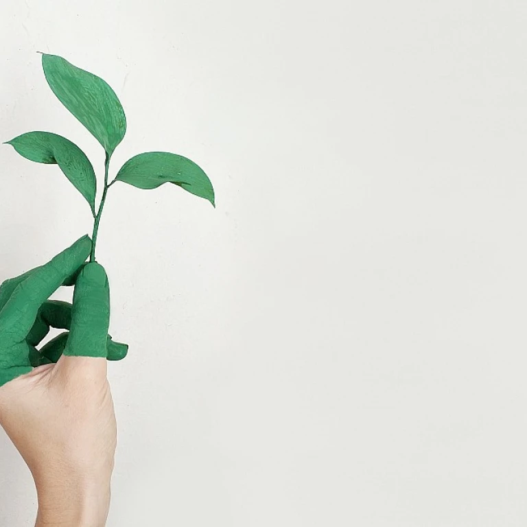 Optimiser les opérations avec la méthode kaizen
