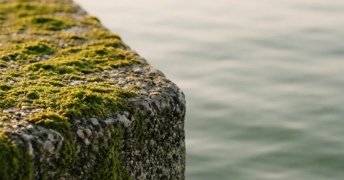 Nearshoring en Europe : recalculer ses coûts complets de sourcing en 2026